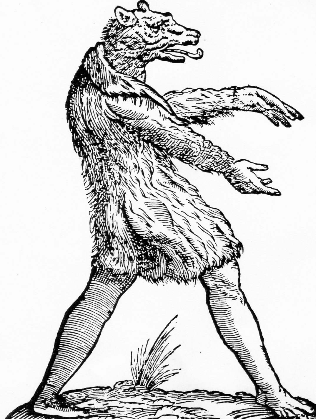 Coloriage d'un loup-garou dans une forêt nocturne