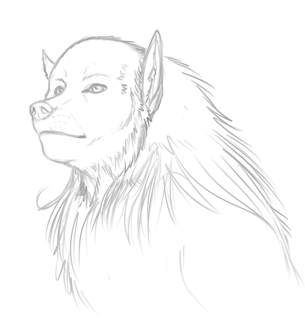 Coloriage d’un loup-garou dans une forêt nocturne
