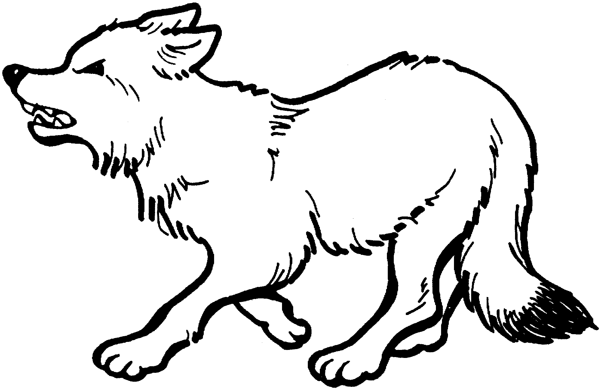 Coloriage d'un loup majestueux dans la forêt