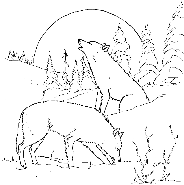 Un loup majestueux au milieu des arbres