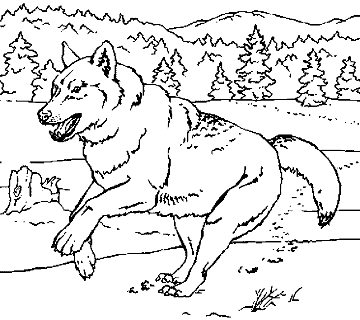 Un loup majestueux évoluant dans une forêt stylisée
