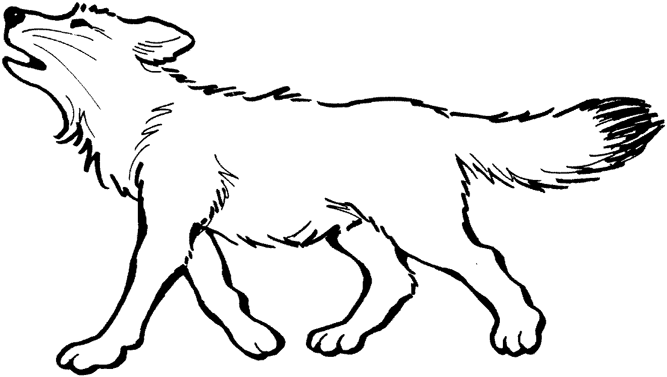 Coloriage Loup #7347 à imprimer Coloriage Loup #7347 à imprimer
