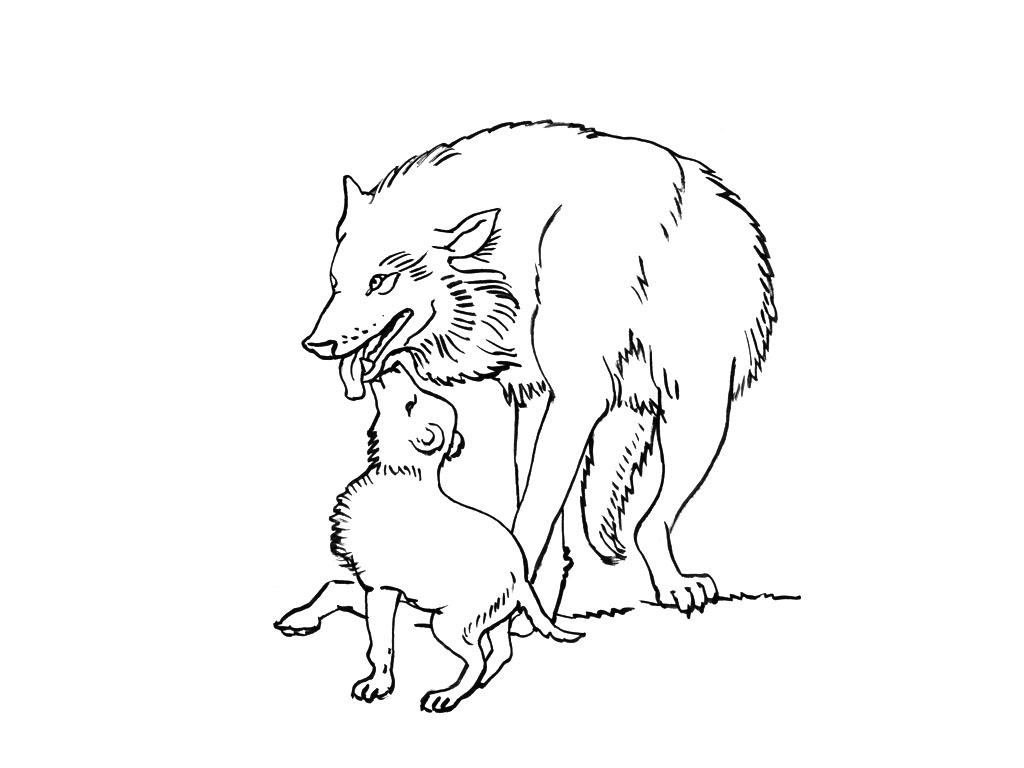 Coloriage d'un loup majestueux dans une scène forestière