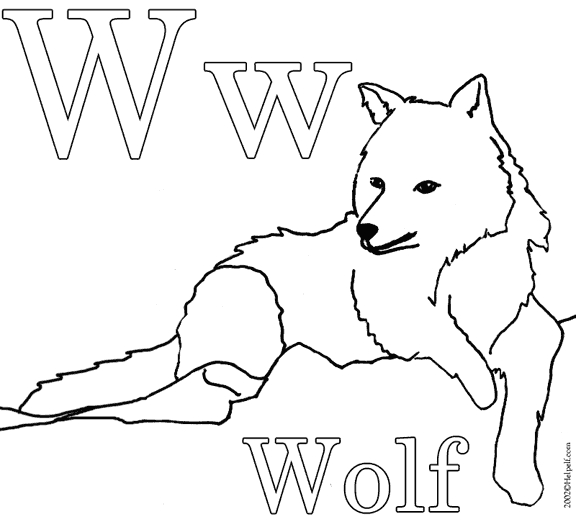 Un loup majestueux sur fond de nature sauvage