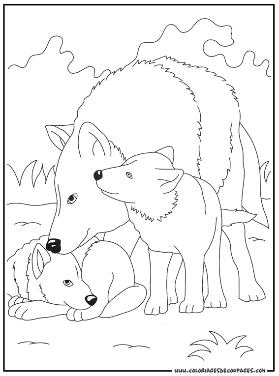 Un loup majestueux sur fond de nature sauvage
