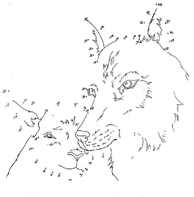 Coloriage d'un loup majestueux dans un paysage naturel