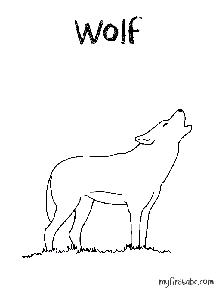 Un loup majestueux dans un paysage forestier