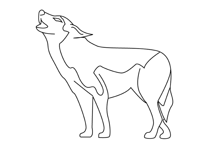 Un loup majestueux en pleine forêt