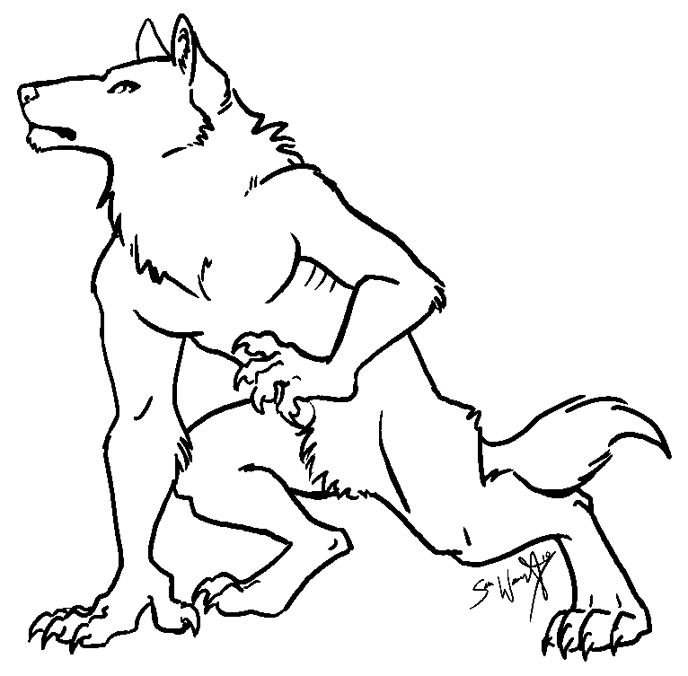 Un loup en pleine contemplation dans une forêt