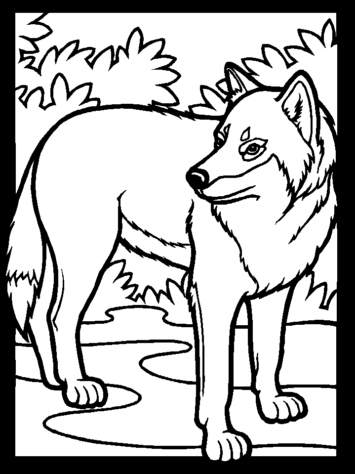 Coloriage d'un loup dans un paysage sauvage