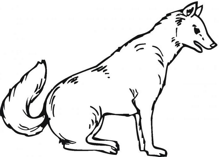 Coloriage d'un loup majestueux dans la forêt Coloriage d'un loup majestueux dans la forêt