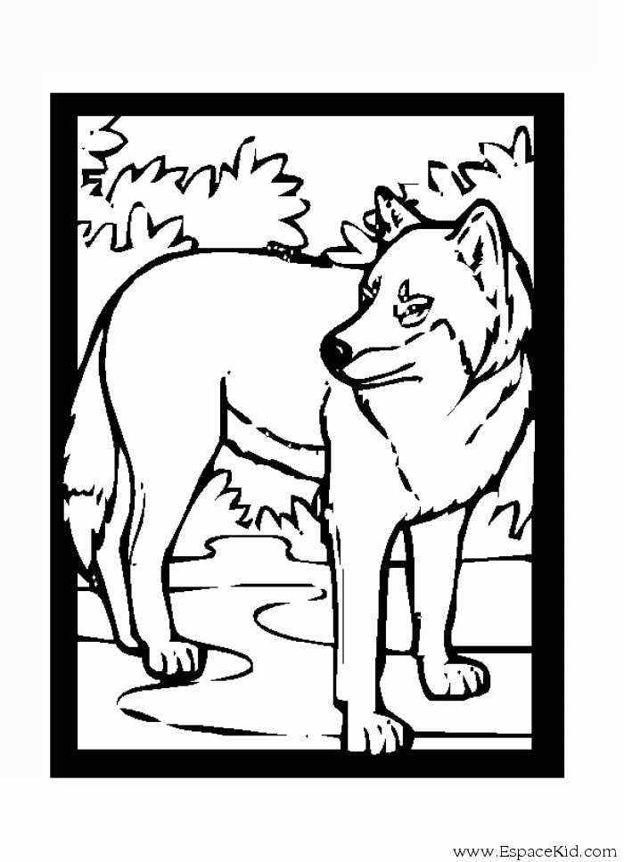 Coloriage d'un loup majestueux dans la forêt