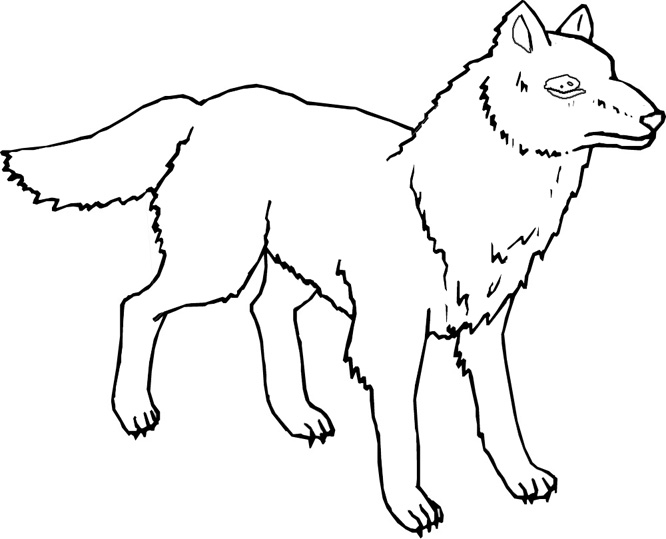 Un loup majestueux en pleine forêt
