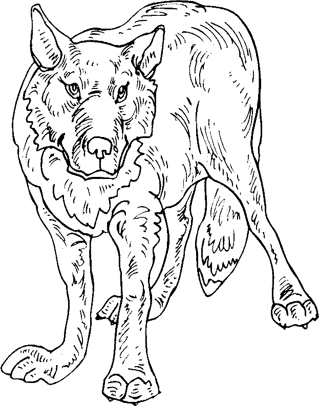 Coloriage d'un loup dans une forêt paisible