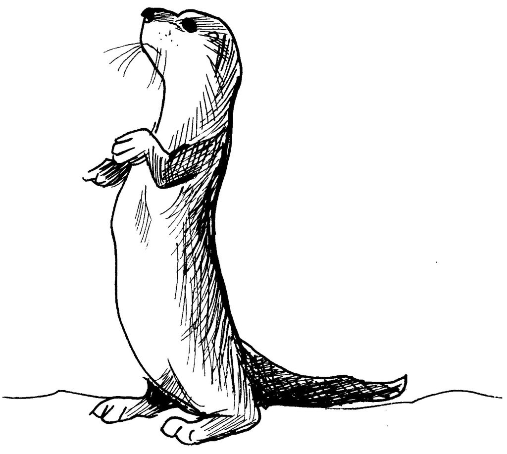 Loutre joyeuse se prélassant au bord d'une rivière