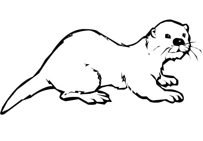 Coloriage d'une loutre se reposant sur un rocher au bord de l'eau