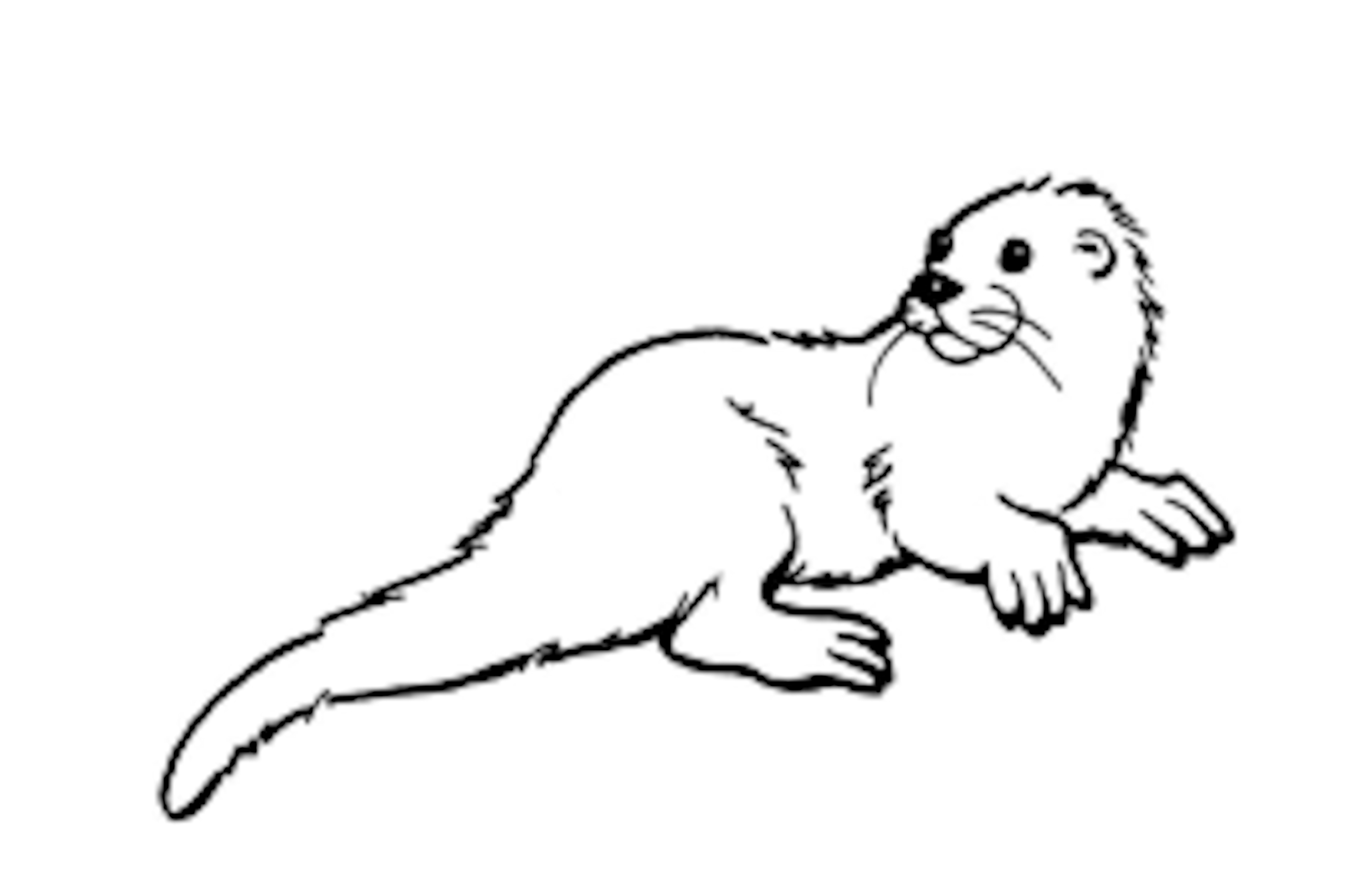 Une loutre jouant au bord d'une rivière entourée de végétation