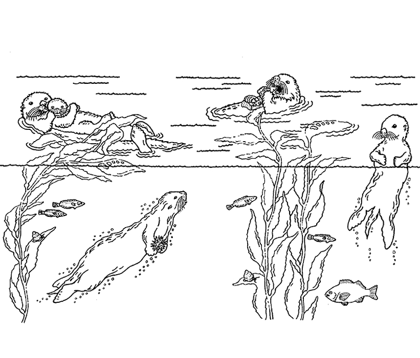 Coloriage d'une loutre jouant dans l'eau entourée de nature