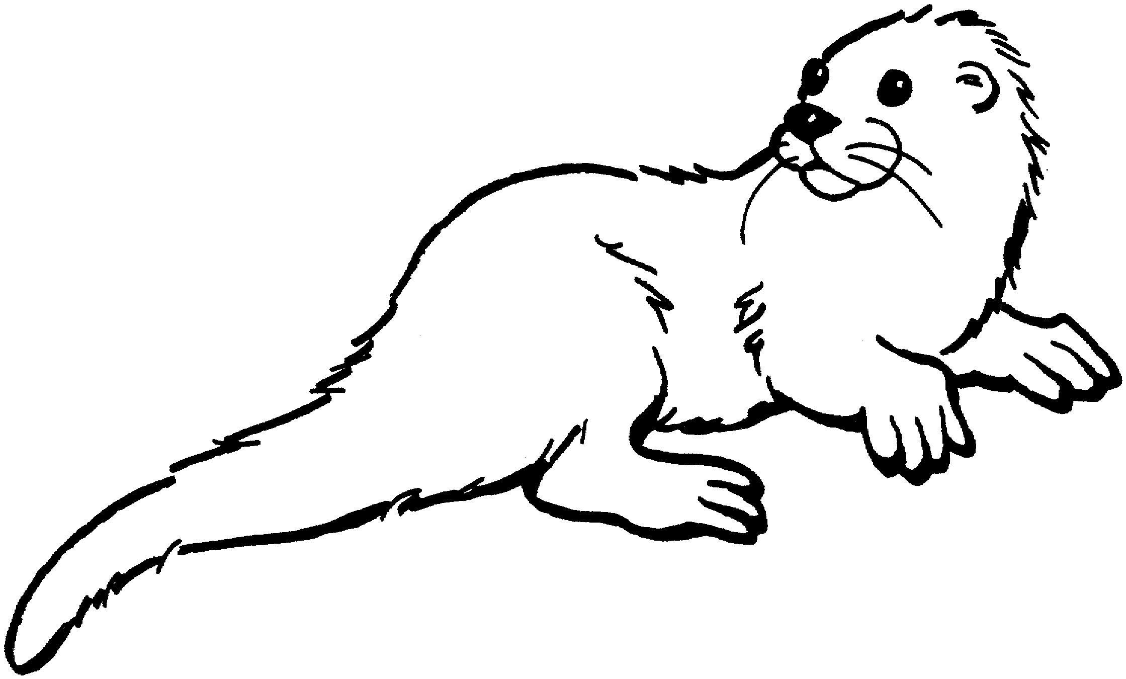 Coloriage d'une loutre jouant dans l'eau