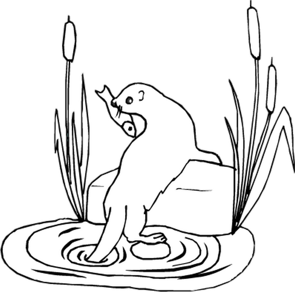 Une loutre joue joyeusement au bord de l'eau