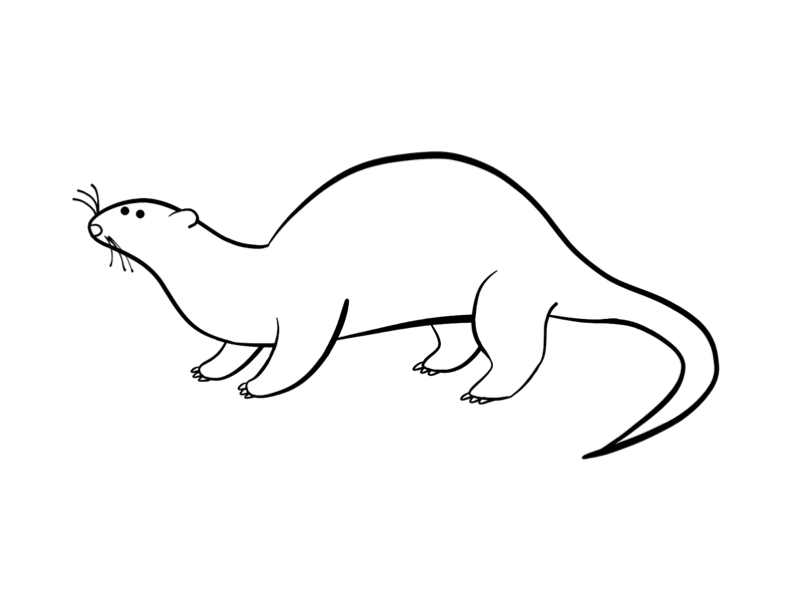 Coloriage d'une loutre jouant sur un rocher au bord de l'eau