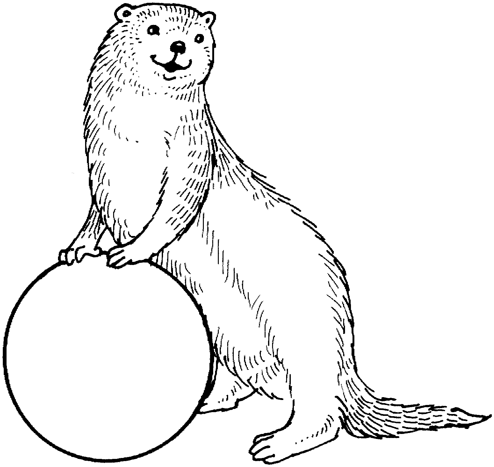Coloriage d'une loutre jouant dans l'eau entourée de végétation