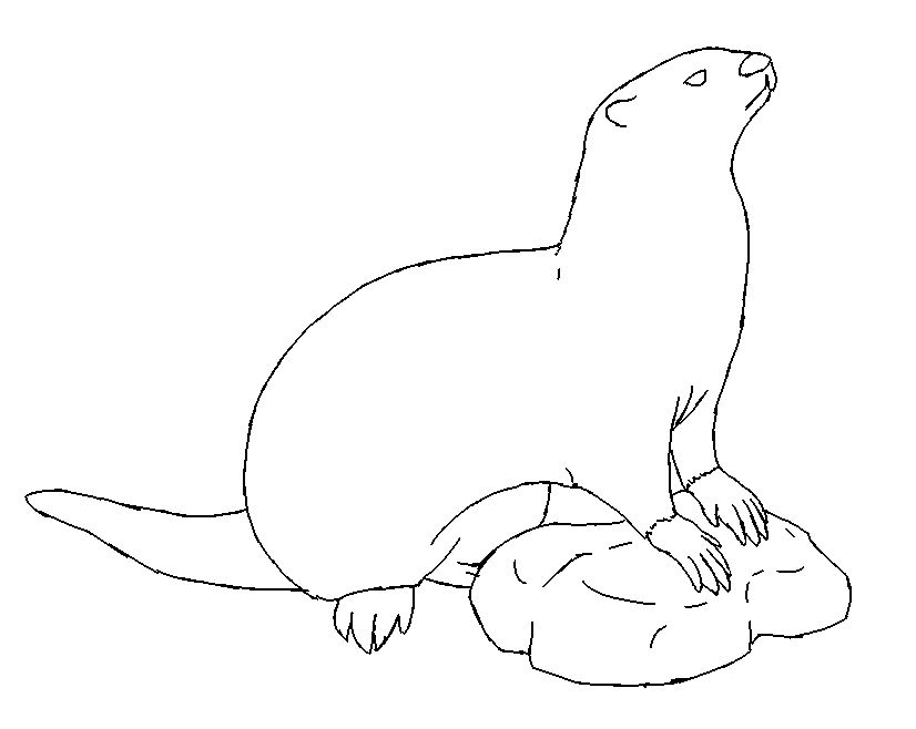Loutre plaisantant dans son habitat aquatique