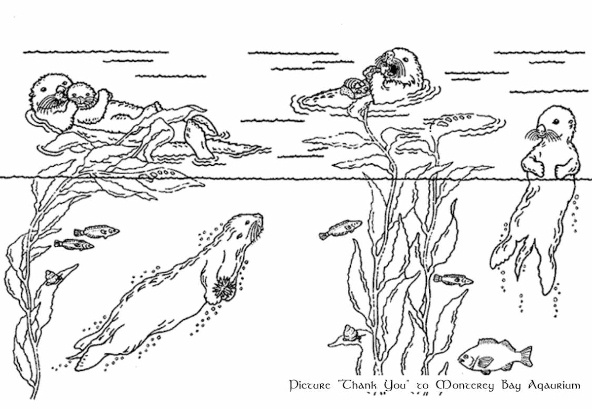 Coloriage d'une loutre jouant dans l'eau avec des éléments naturels autour