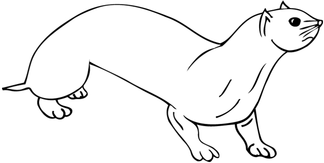 Une loutre joue avec une pierre au bord de l'eau