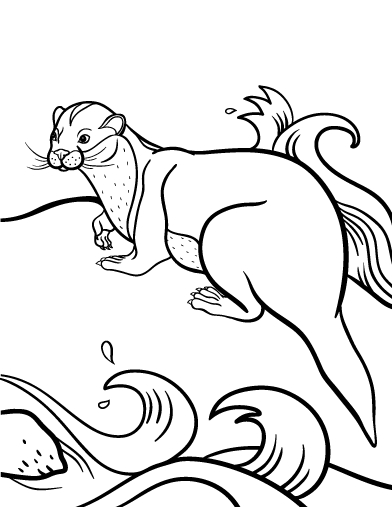 Coloriage d'une loutre se prélassant sur un rocher au bord de l'eau