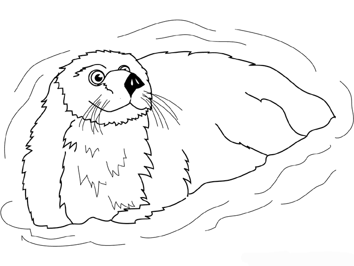 Coloriage d'une loutre jouant dans l'eau avec des éléments naturels