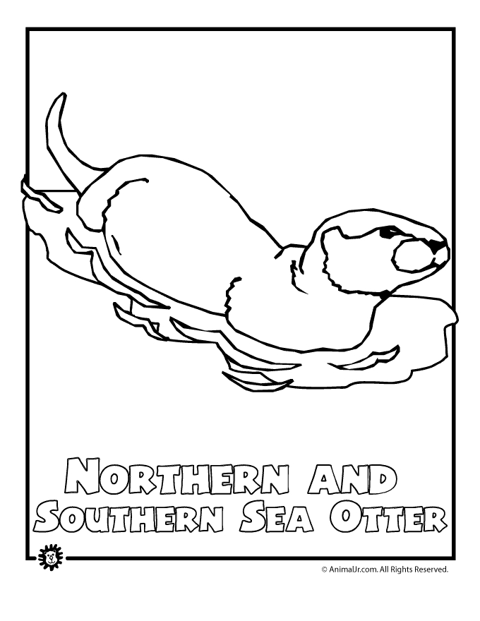 Coloriage d'une loutre jouant dans l'eau avec des éléments naturels