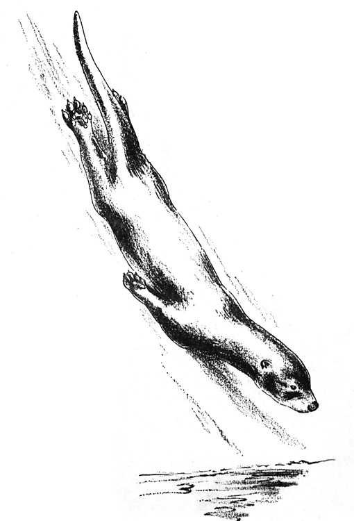 Loutre joyeuse jouant dans l'eau avec des éléments naturels autour