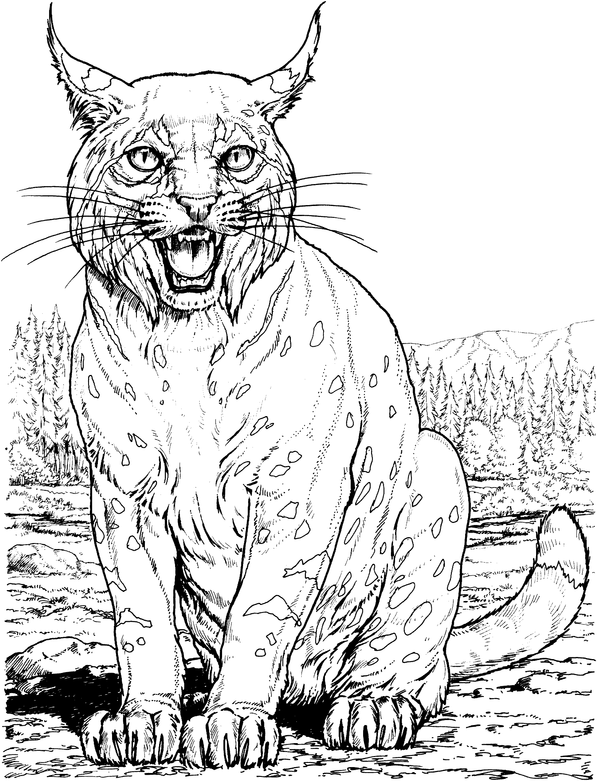 Un lynx majestueux se reposant dans son habitat naturel