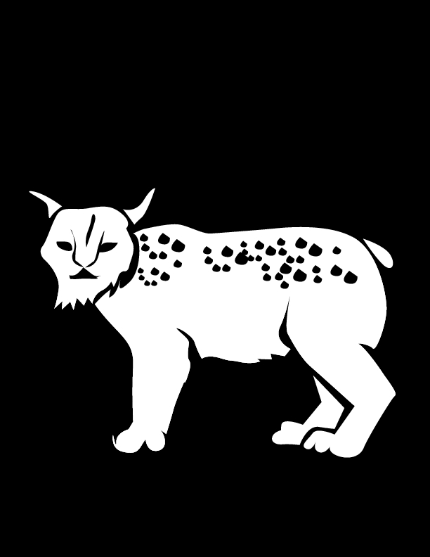 Un lynx majestueux se déplaçant dans une forêt dense