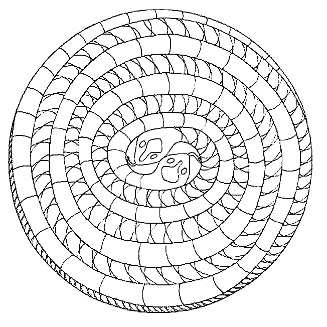Mandalas animaliers enjoués à colorier Mandalas animaliers enjoués à colorier