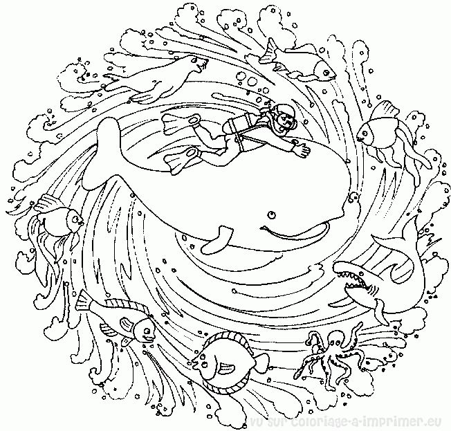 Coloriage de mandalas animaliers entrelacés de motifs Coloriage de mandalas animaliers entrelacés de motifs