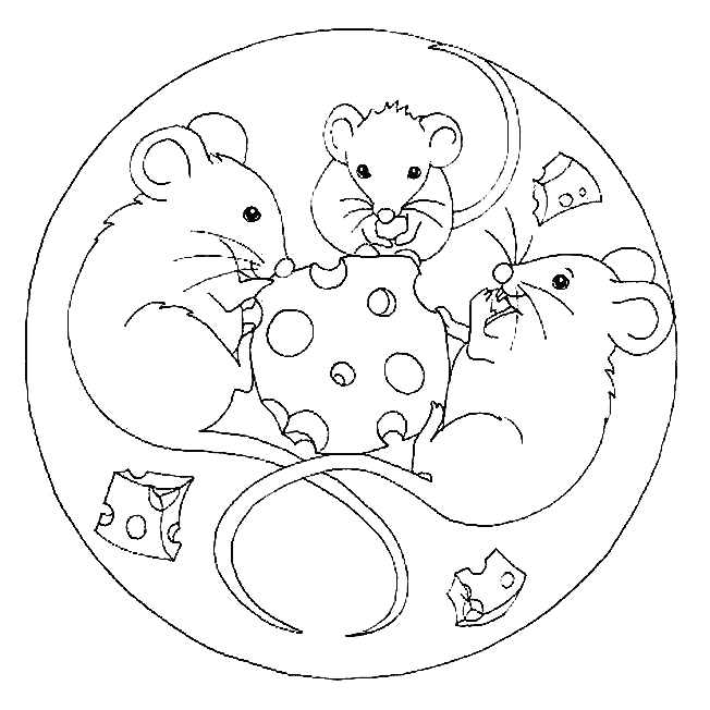 Mandalas d'animaux entrelacés dans un design captivant