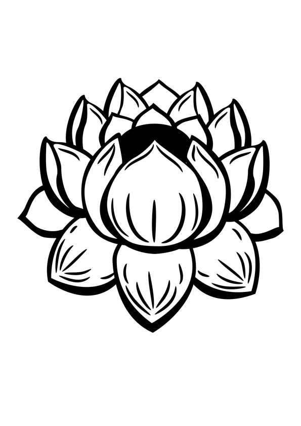 Coloriage de mandalas floraux avec motifs variés Coloriage de mandalas floraux avec motifs variés