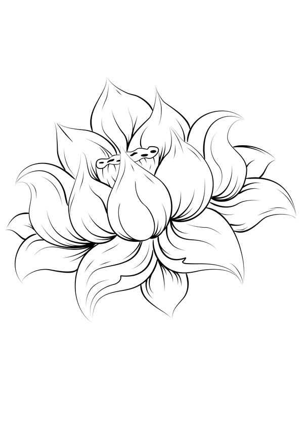 Coloriage de mandalas fleuris avec motifs variés