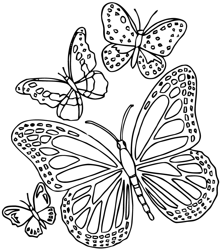 Coloriage de mandalas avec un motif de papillon délicat Coloriage de mandalas avec un motif de papillon délicat