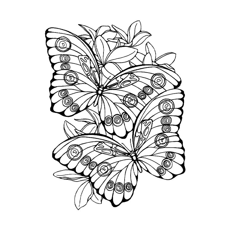 Coloriage de mandalas représentant un papillon délicat
