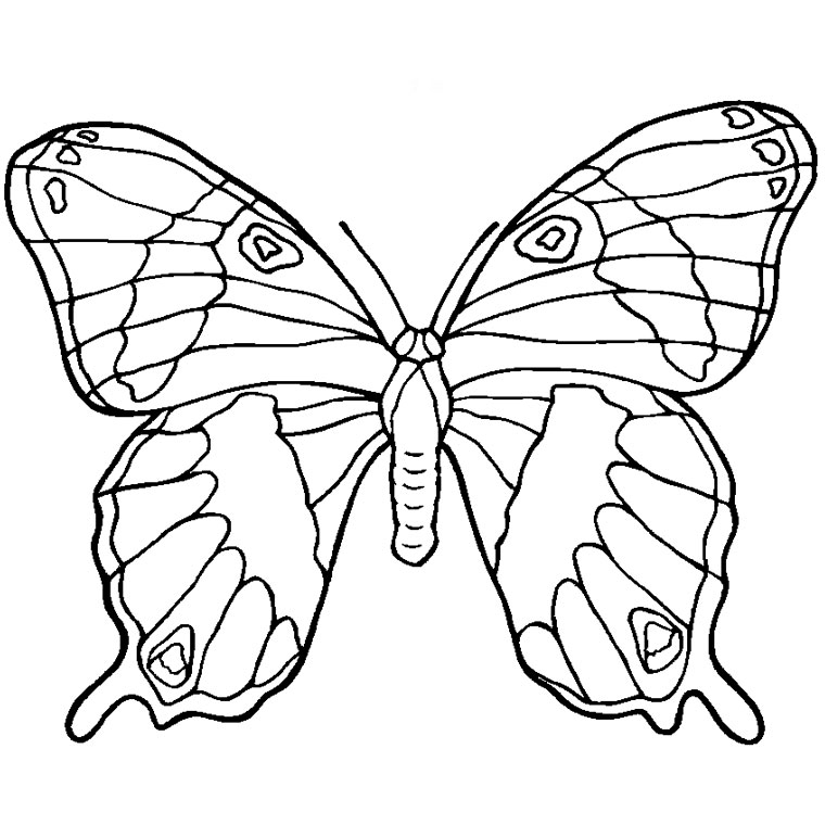 Coloriage d'un mandala en forme de papillon avec motifs détaillés