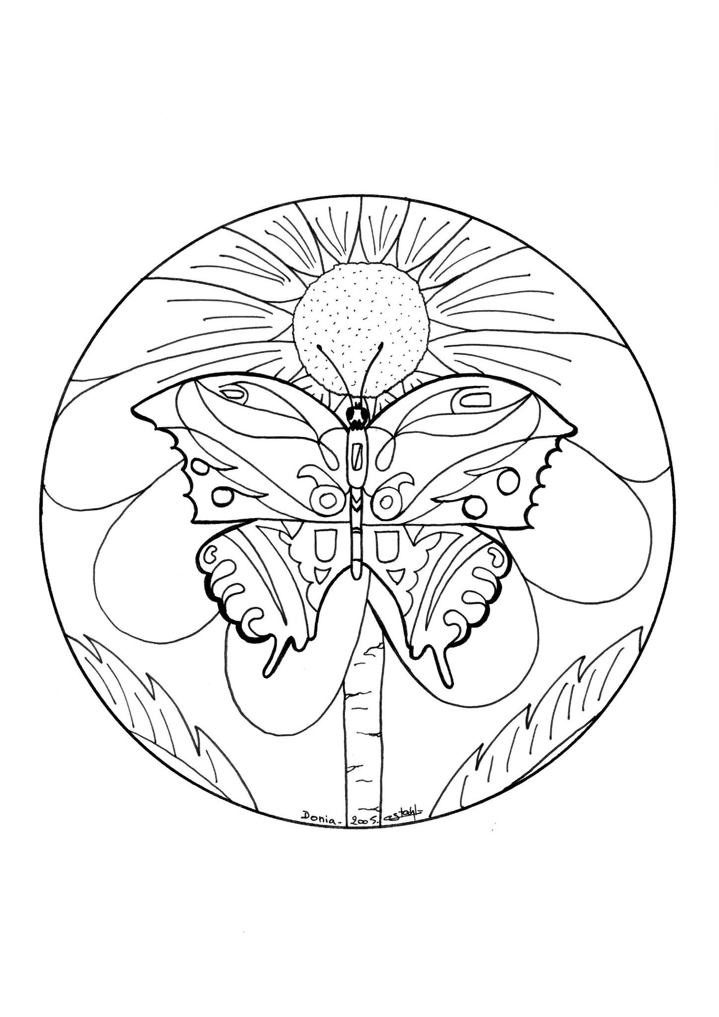 Coloriage de mandalas de papillon à motifs délicats