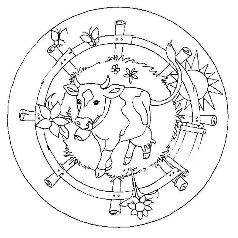 Coloriage de mandalas pour enfants avec motifs floraux et géométriques