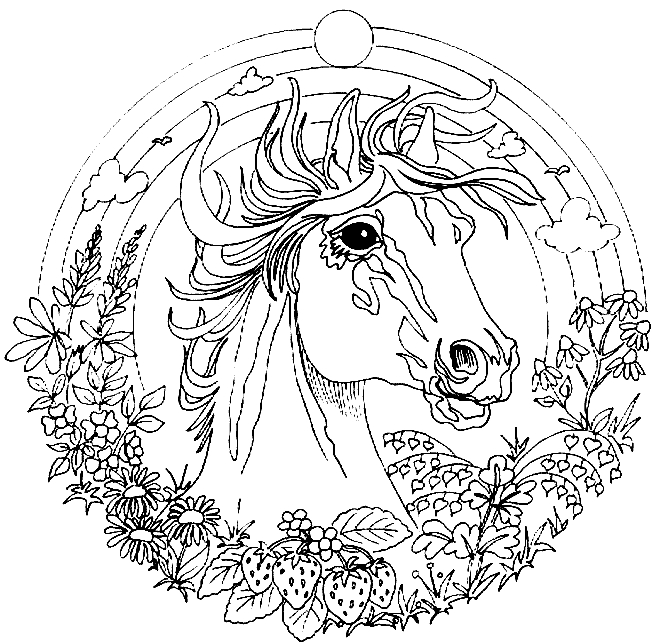 Coloriage de mandalas avec motifs géométriques et floraux