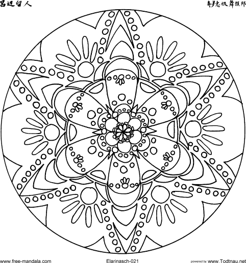 Mandala complexe à colorier avec motifs géométriques et floraux Mandala complexe à colorier avec motifs géométriques et floraux