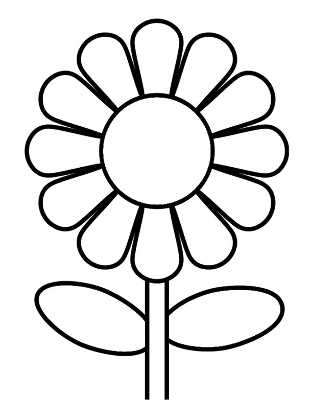 Coloriage d'une marguerite avec un fond floral
