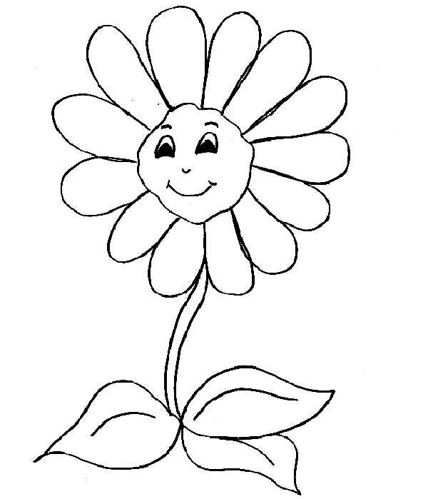 Coloriage d'une marguerite en pleine floraison sur fond simple