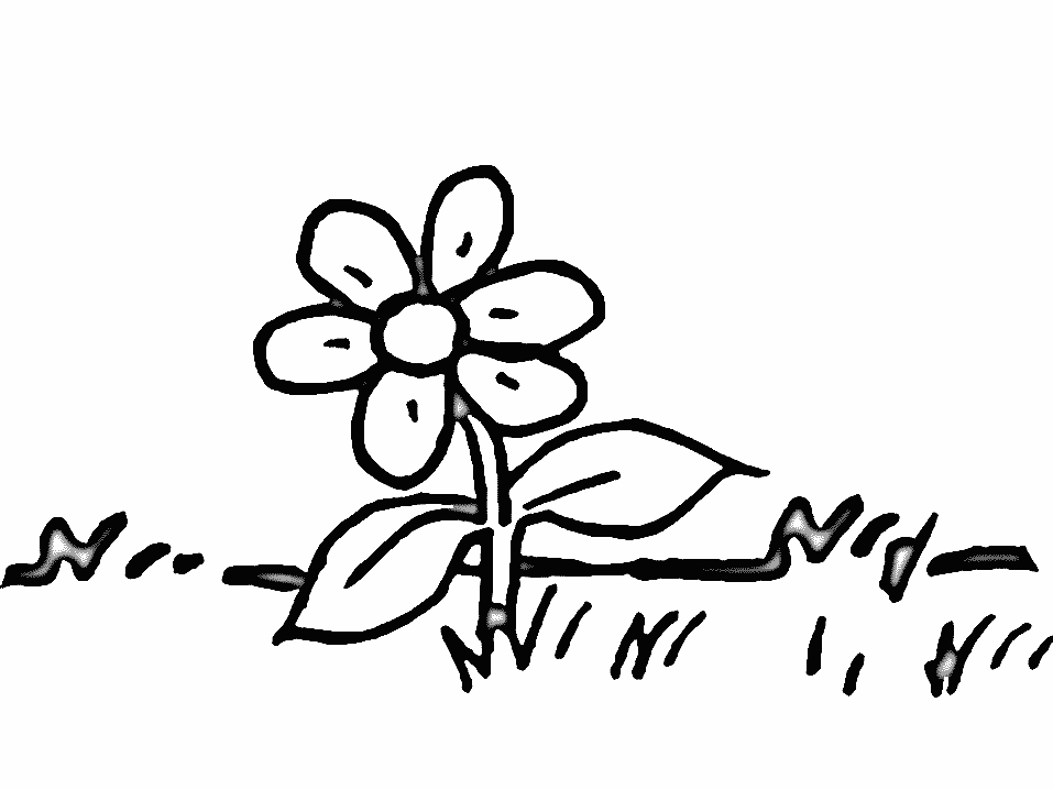 Coloriage d'une marguerite sur fond simple
